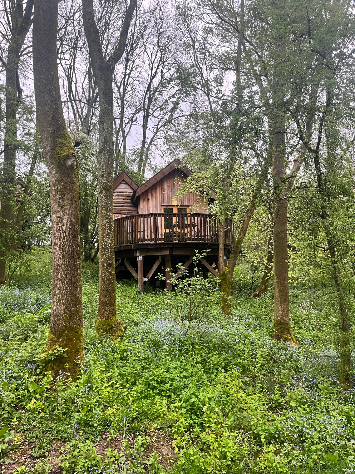 Wildhive Callow Hall